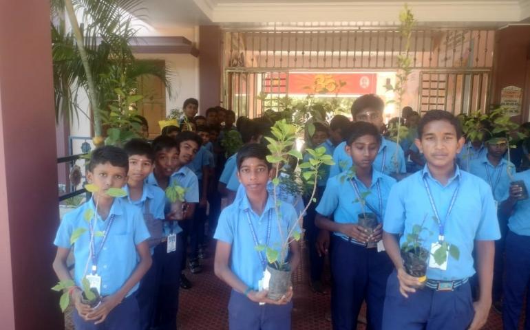 VKV Kanyakumari - Gangotri Plantation Programme