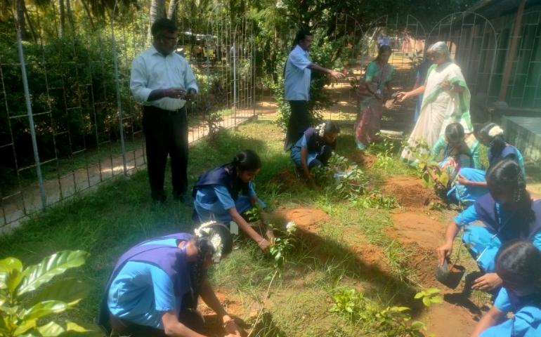 VKV Kanyakumari - Gangotri Plantation Programme
