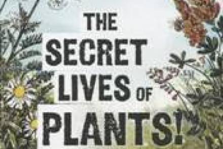The secret lives of plants